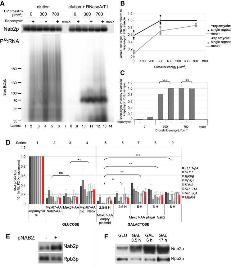 Figure 4