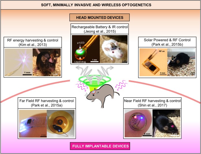 FIGURE 2