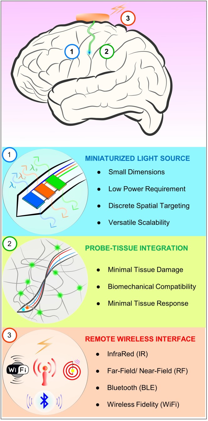 FIGURE 1