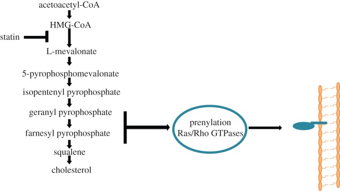 Figure 4.