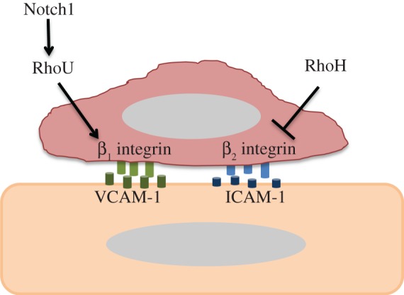 Figure 3.