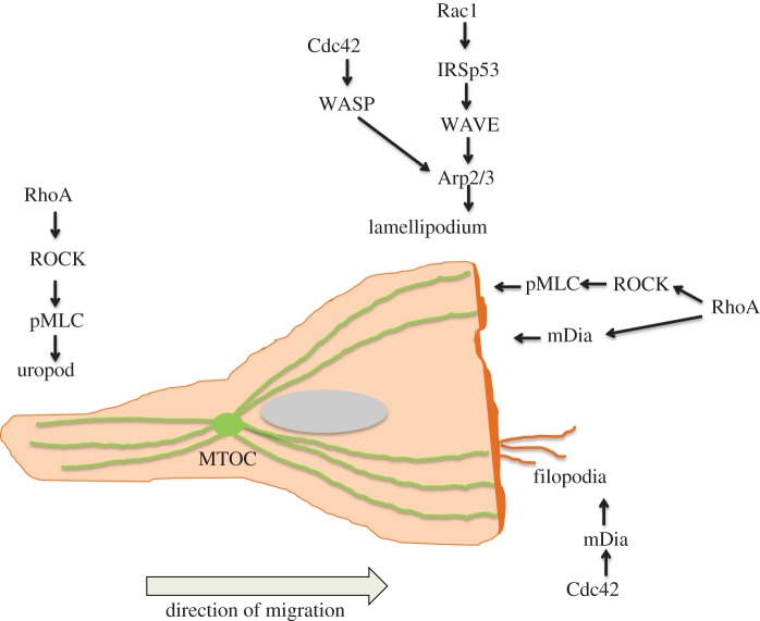 Figure 1.