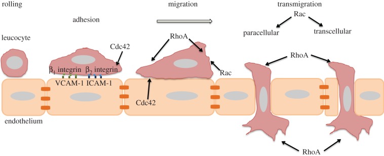 Figure 2.