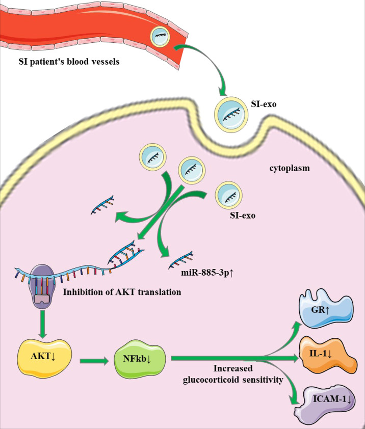 Figure 6