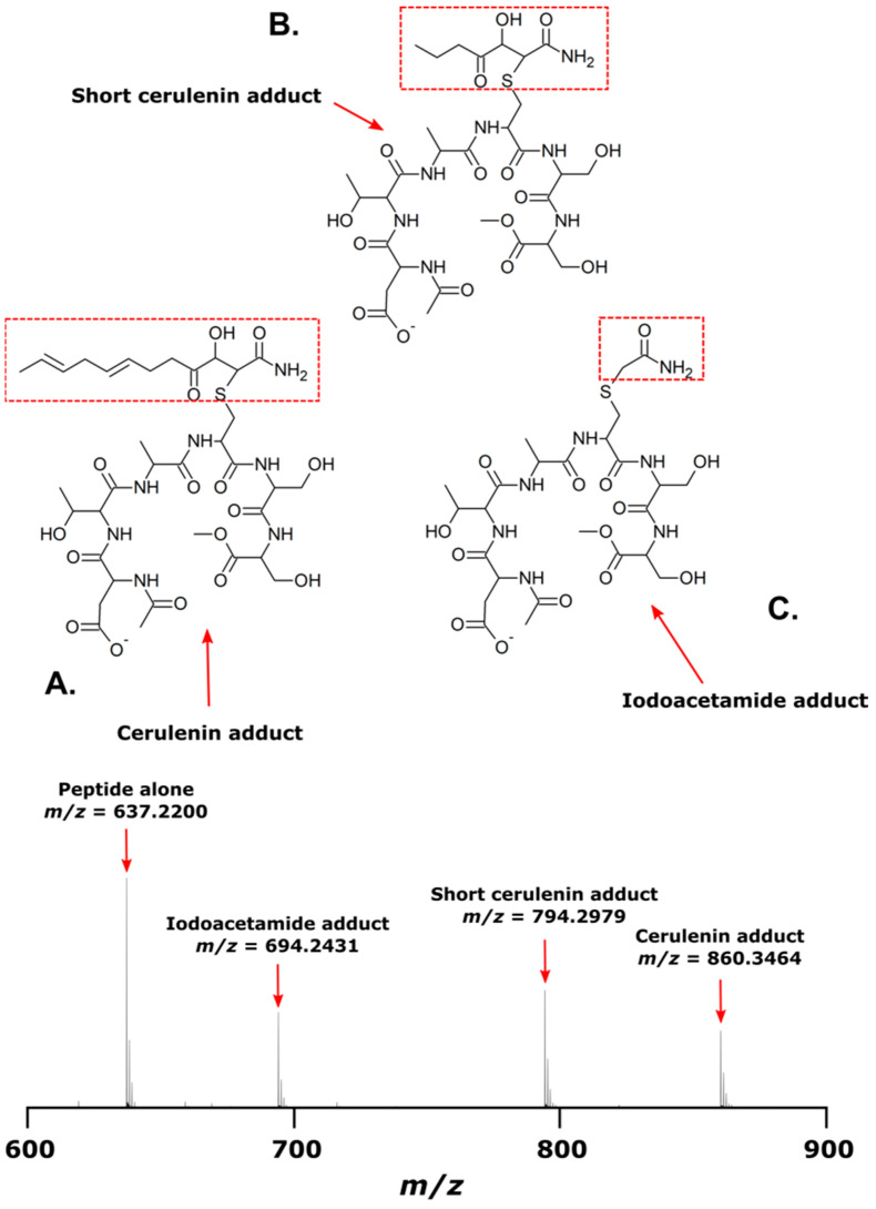 Figure 10