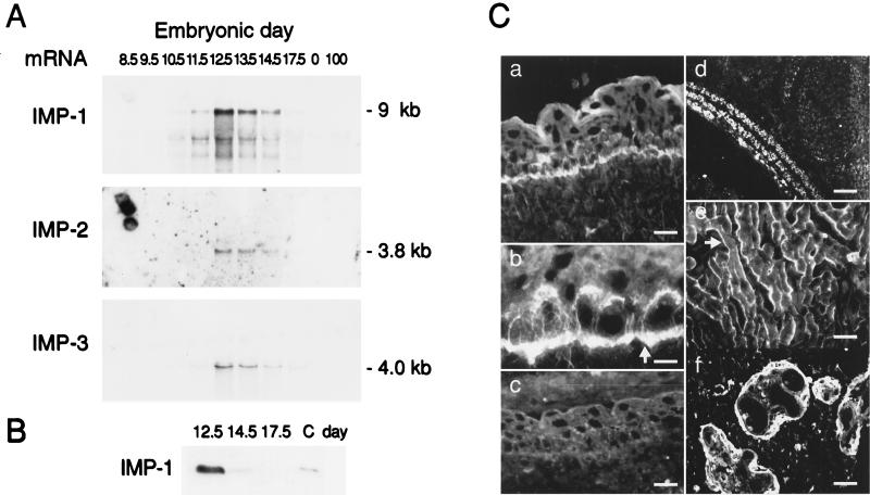 FIG. 7