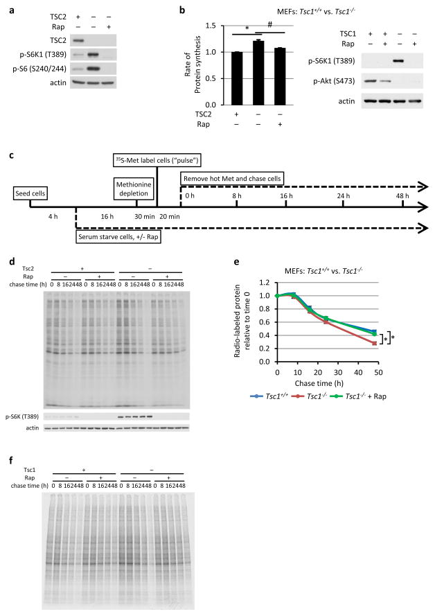 Extended Data Figure 1