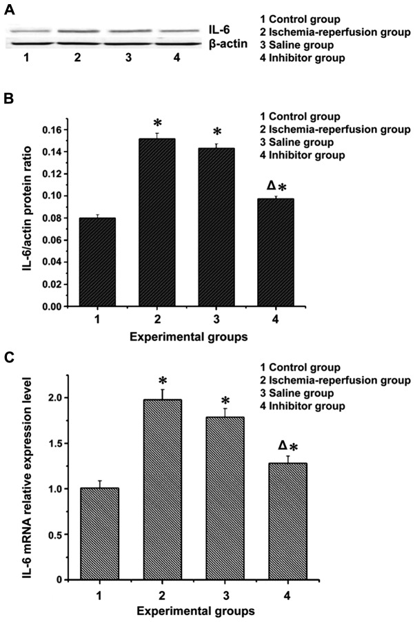 Figure 2.