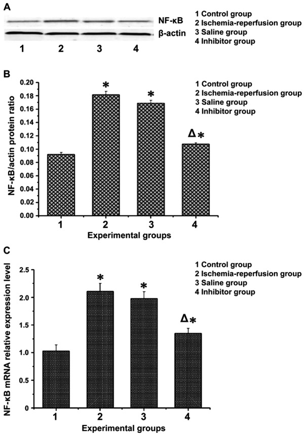 Figure 3.