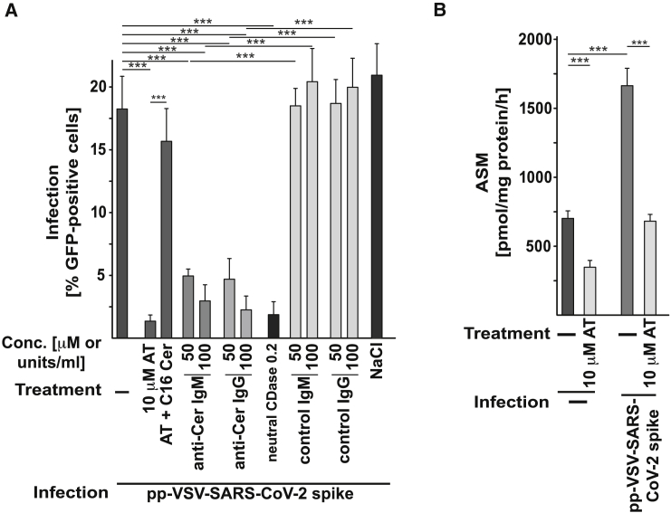 Figure 6