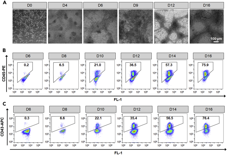 Figure 3