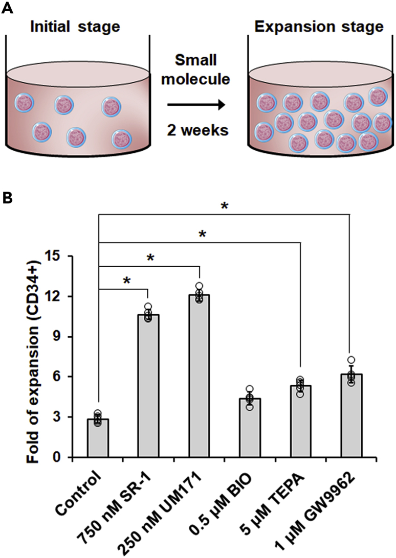 Figure 6