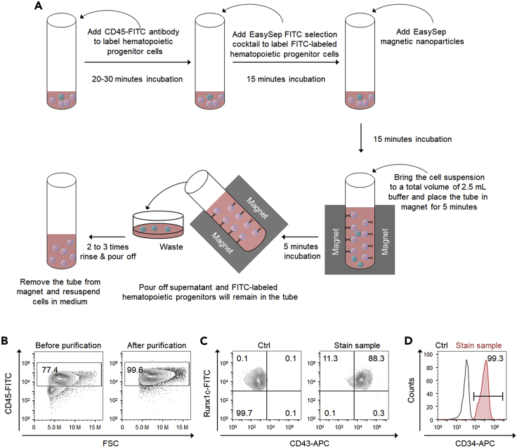 Figure 4