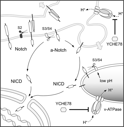 FIG. 4.