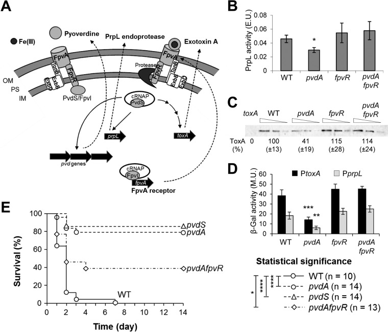 FIG 6