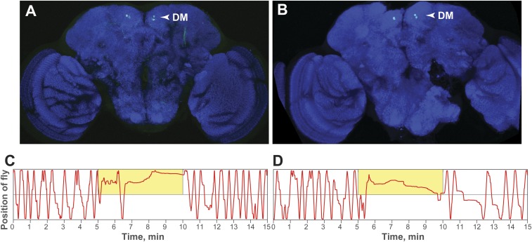 Fig. S9.