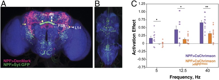 Fig. 6.