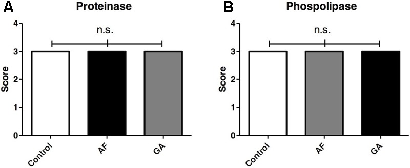 FIGURE 4