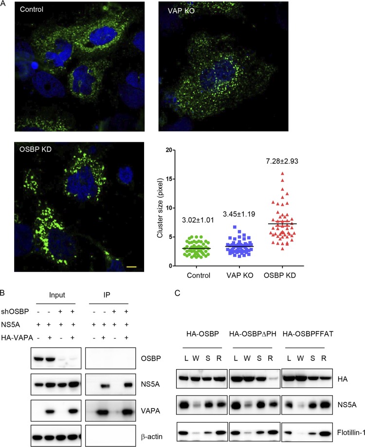 FIG 3