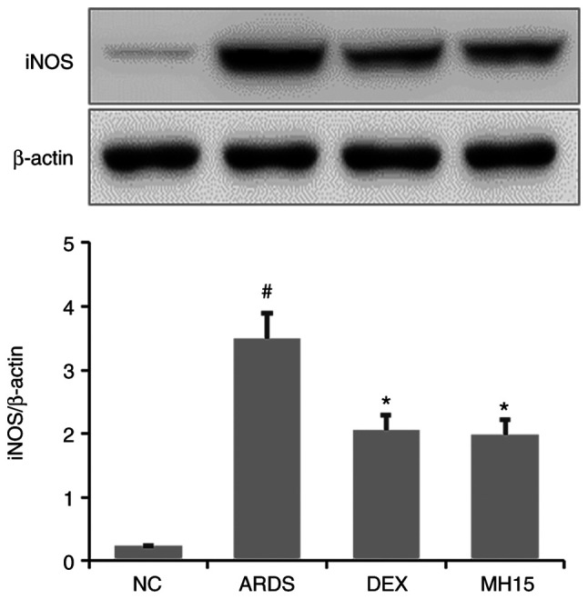 Figure 5.