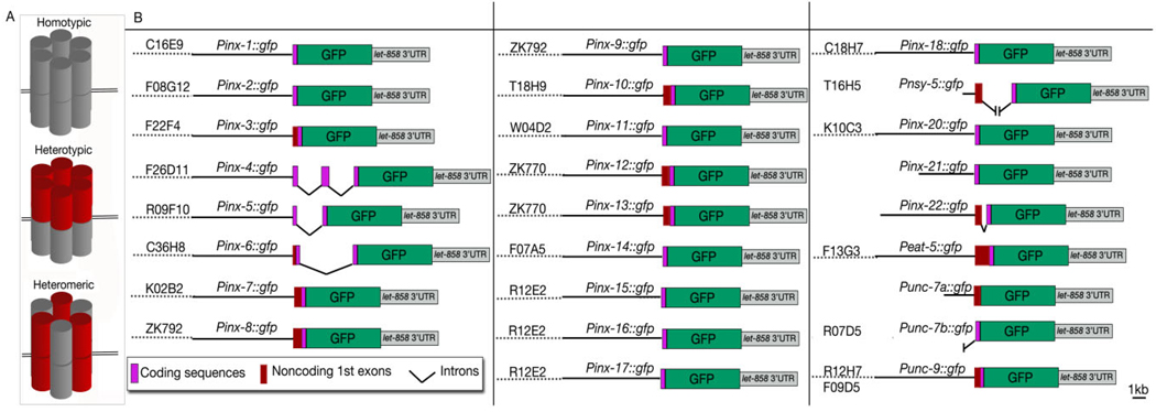 Fig. 1