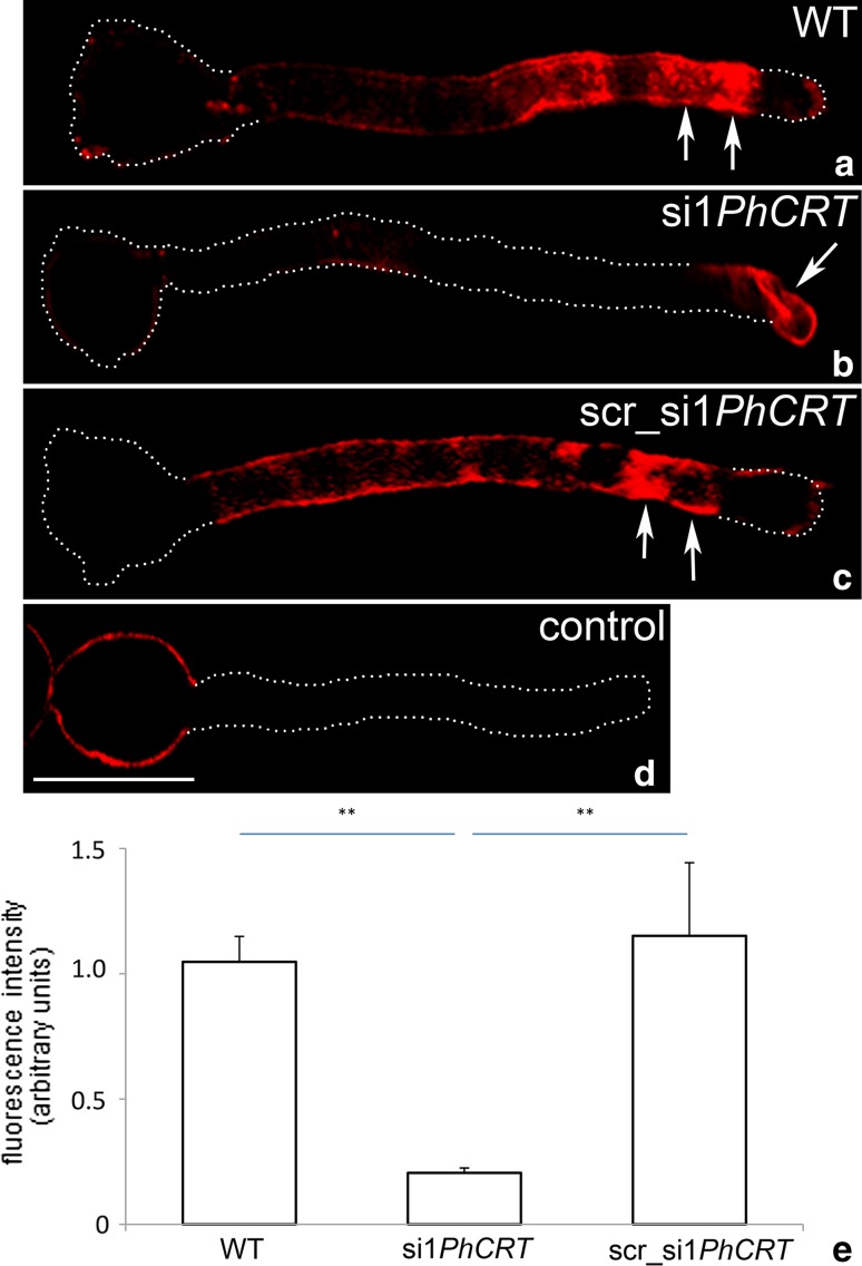 Fig. 3