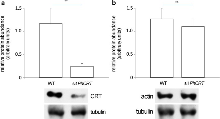 Fig. 4