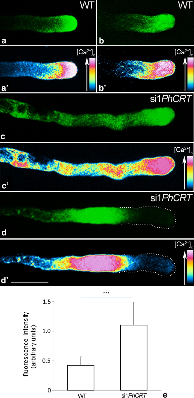 Fig. 9