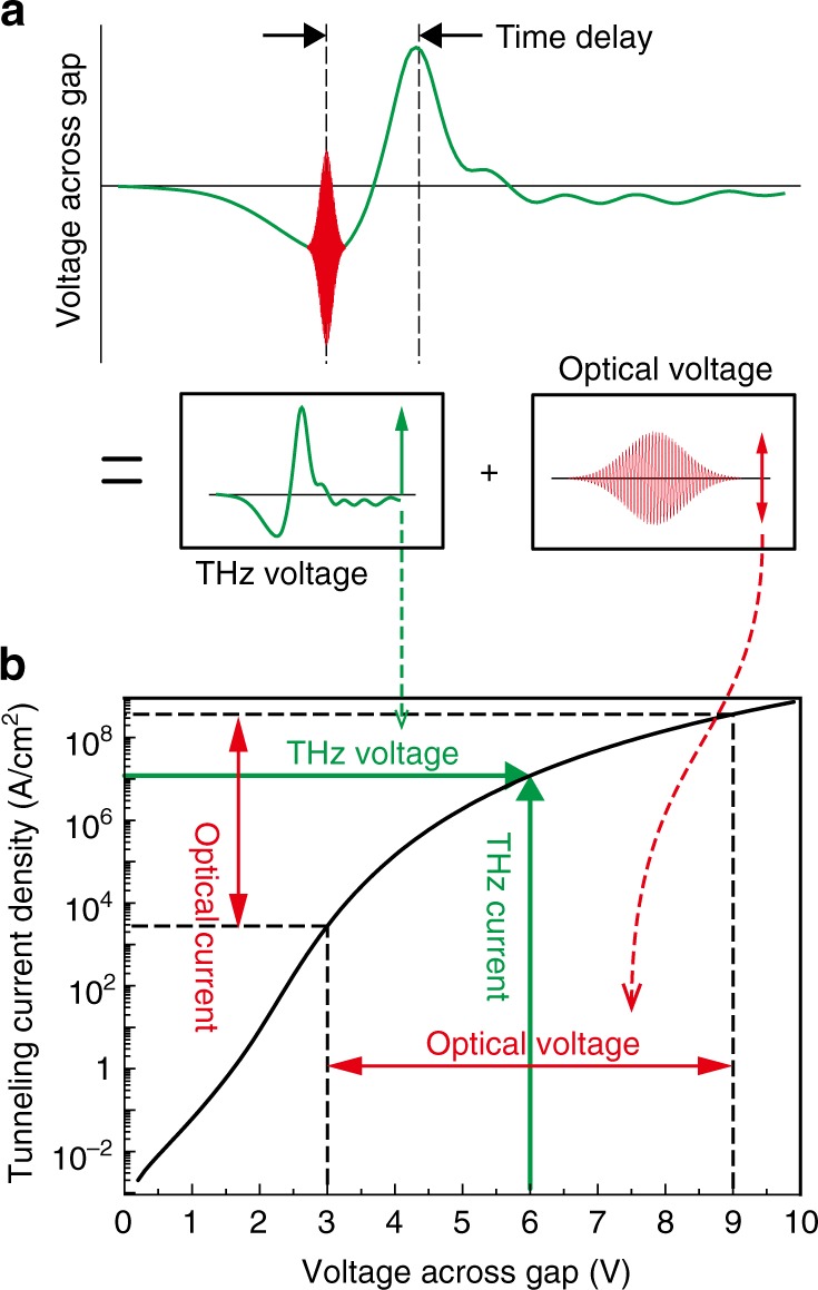 Fig. 4