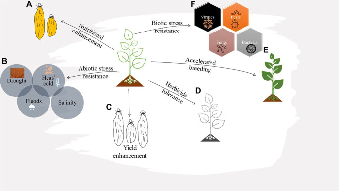 FIGURE 6