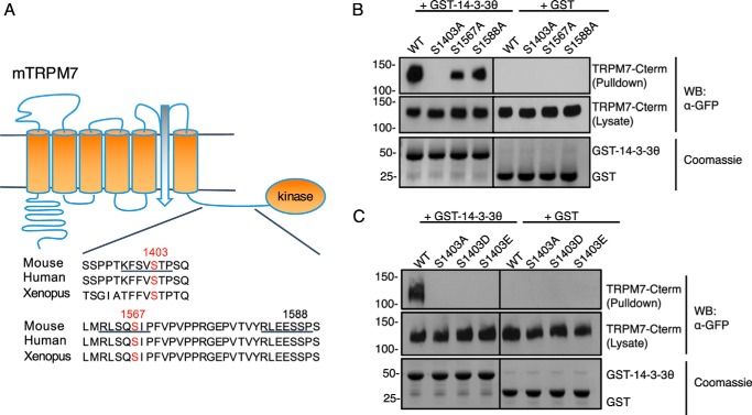 Figure 6.