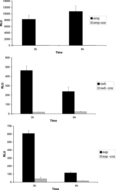 FIG. 2.