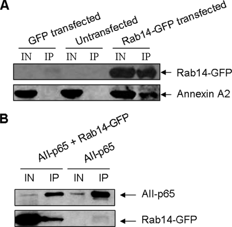 FIGURE 5.