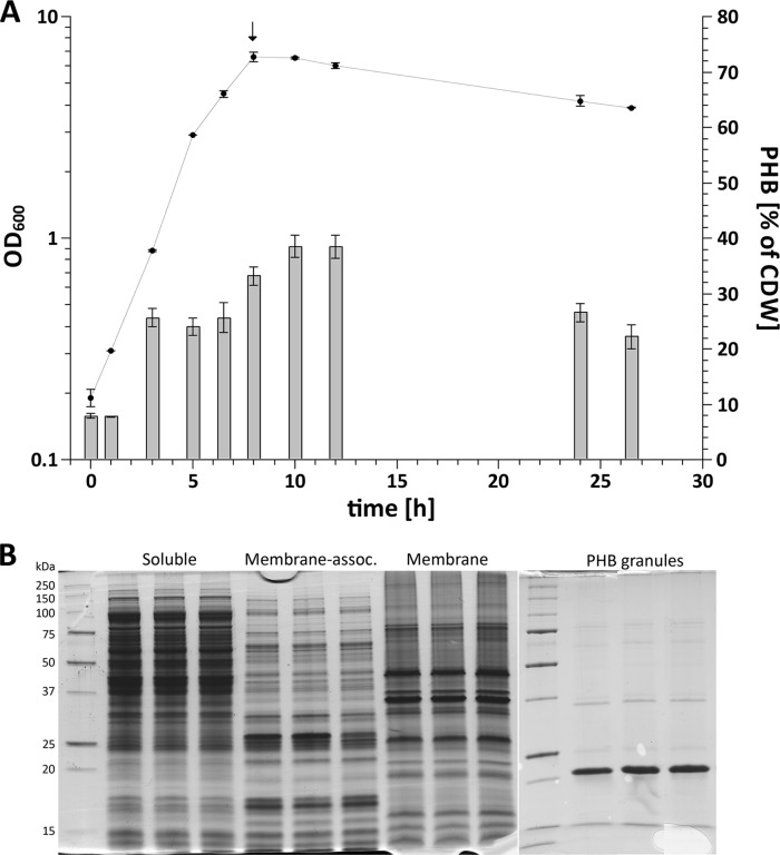 FIG 1