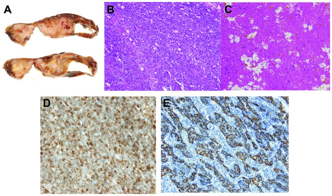 Figure 5.