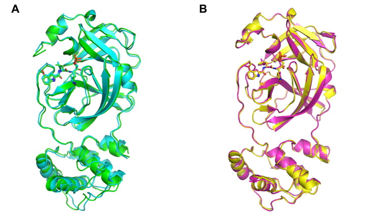 Supplementary Figure S2