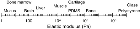 graphic file with name JCS071001B1.jpg