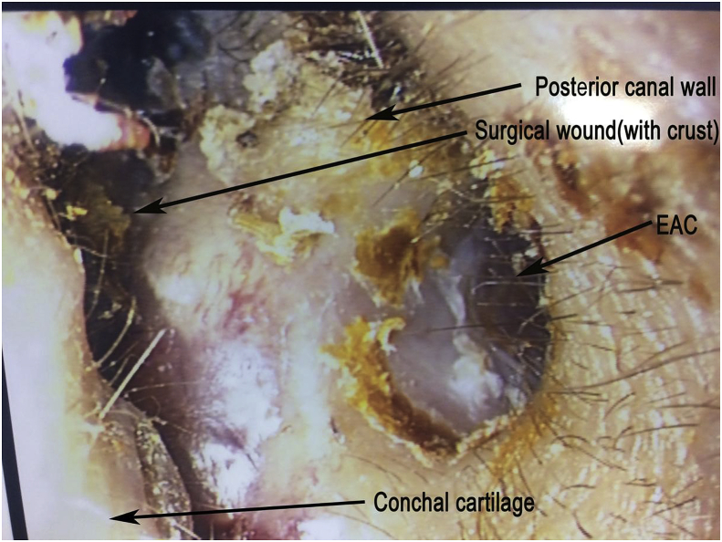 Fig. 7