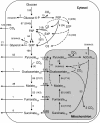 FIG. 4.