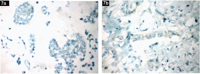 [Table/Fig-7a,b]: