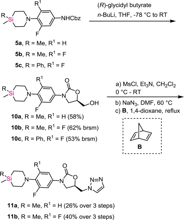 Scheme 3