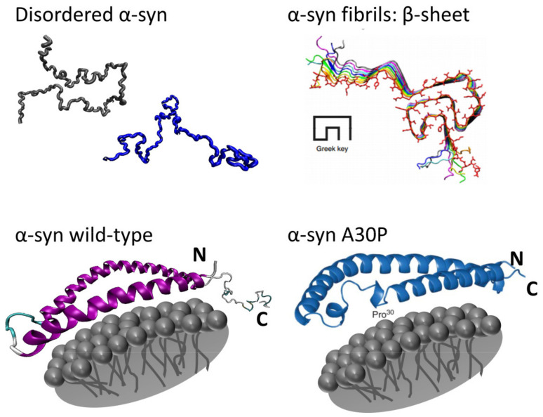 Figure 15