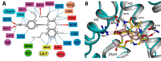 FIGURE 7.