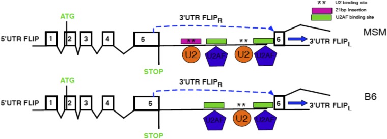 Fig. S3.