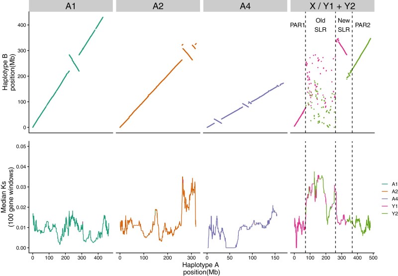 Fig. 1.