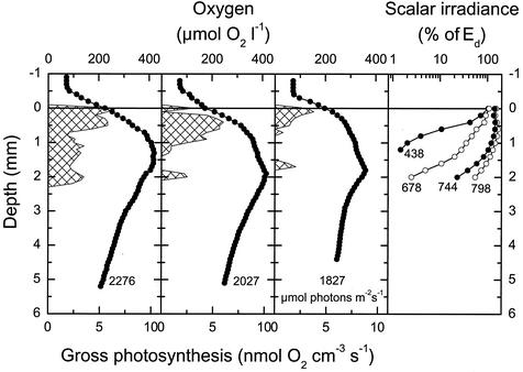 FIG. 2.