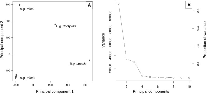 Fig. 3.—