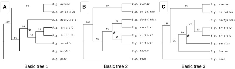 Fig. 2.—