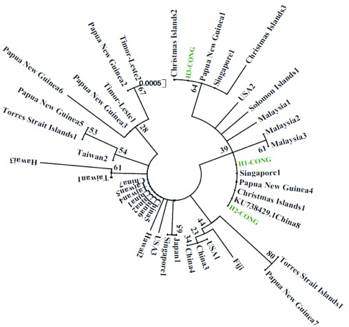 Figure 3. 