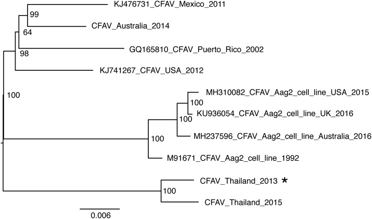 FIG 1